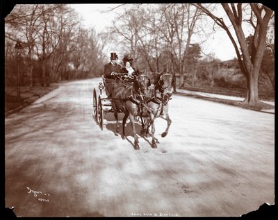 1904年，纽约，Anna Held和Florenz Ziegfeld驾驶一辆马车开着马车（银色明胶印刷品） 作者 拜伦公司