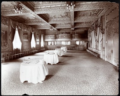 Hotel Delmonico酒店的接待室，1902年（银色明胶印刷） 作者 拜伦公司