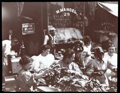 从1898年纽约海斯特街上的小贩购买蔬菜的妇女观（银色明胶印刷） 作者 Byron Company