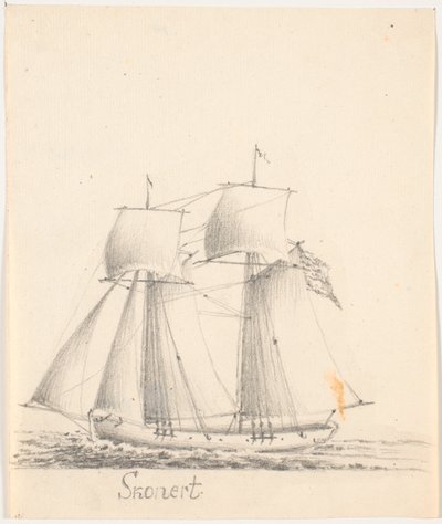 Schooner 作者 加州洛伦岑