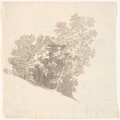 木材组 作者 加州洛伦岑