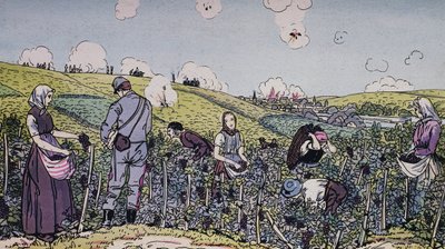 我们的葡萄种植者在炮火中收获，1914年香槟地区的收获，第一次世界大战，法国，20世纪 作者 JB 和 Brown J. 和 Rowbotham