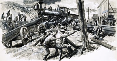 1873 年穿越华盛顿州的铁路 作者 CL 道蒂