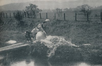 羊剪，1910年 作者 里德