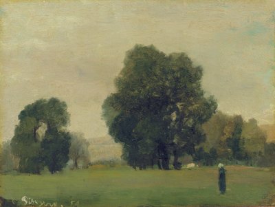 拉罗什圭永（La Roche-Guyon）草地，1859年 作者 卡米尔·雅各布·毕沙罗