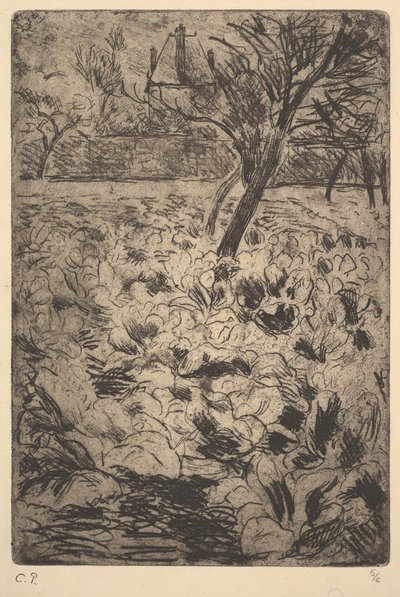 甘蓝田，约。 1880年。 作者 卡米尔·雅各布·毕沙罗