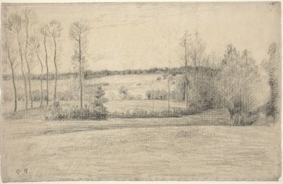 埃拉格尼的树木和草地，1895-1900。 作者 卡米尔·毕沙罗