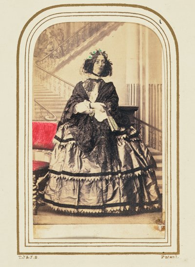 [埃莉诺-凯斯卡特女士] 作者 卡米尔·西尔维（Camille Silvy）