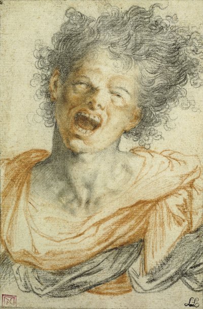 一个年轻人大喊； 尖叫的年轻人 作者 卡米洛·普罗卡西尼（Camillo Procaccini）