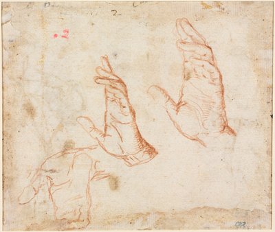 手的研究（背面） 作者 卡米洛·普罗卡西尼（Camillo Procaccini）