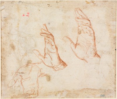 左手研究，c。 1590。 作者 卡米洛·普罗卡西尼（Camillo Procaccini）
