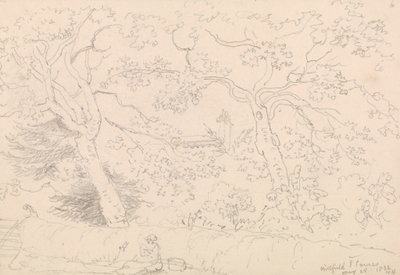 1832 年 5 月 25 日，东考斯，米尔菲尔德 作者 船长托马斯黑斯廷斯