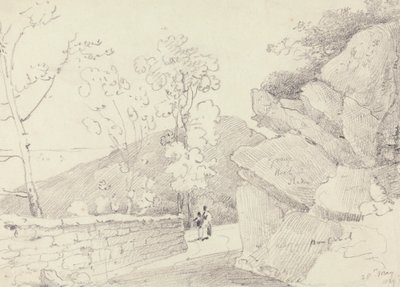 1829 年 5 月 28 日，怀特岛 Bonchurch 附近 作者 船长托马斯黑斯廷斯