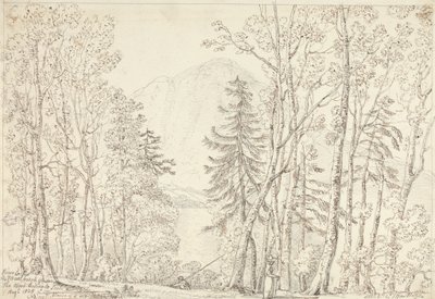 科克河和梅尔布瑞克，1835 年 8 月 1 日 作者 船长托马斯黑斯廷斯