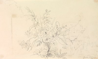 植物素描和大自然的里程碑》，1826 年 6 月 3 日 作者 船长托马斯黑斯廷斯