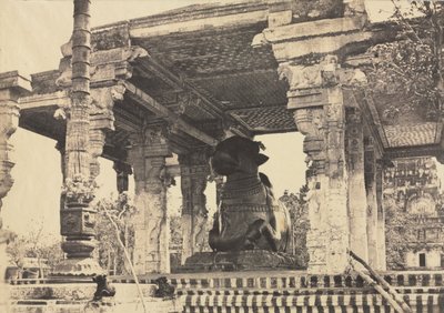 大塔，大公牛，正面图，印度坦焦尔Rajarajesvara寺，1857年。 作者 林奈·特里普船长