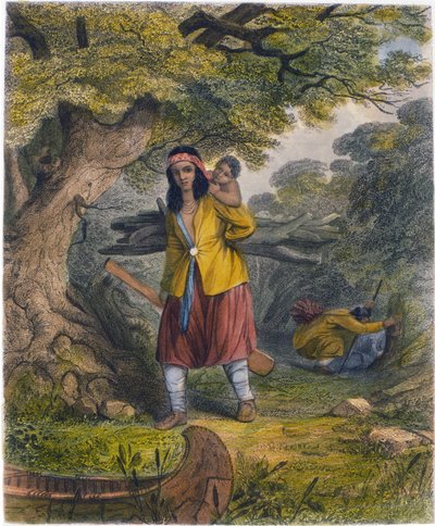印度妇女获取燃料，1853年 作者 Captain Seth Eastman