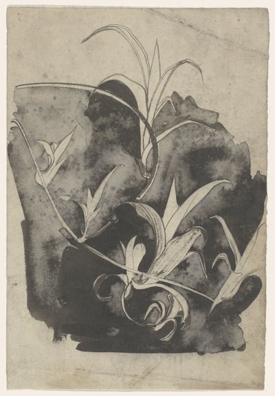 带幼芽的枝条 作者 Carel Adolph 狮子纪念章