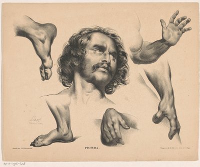 男人的头、脚、手和胳膊
Pictura（物品上的系列名称） 作者 范利尔兄弟