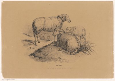 Vier schapen
Pictura （物品上的系列名称） 作者 范利尔兄弟