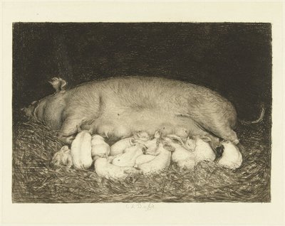 母猪和仔猪躺在马厩里 作者 卡雷尔·洛德维克·达克