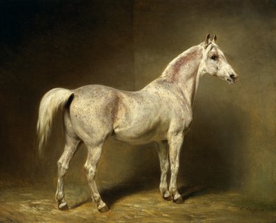 &39;Beatrice&39;，1855年Helmuth Count von Moltke的白色阿拉伯马鞍 作者 Carl Constantin Steffeck