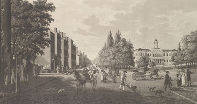 纽约的百老汇和市政厅 纽约的百老汇大街和市政厅，1824年。 作者 卡尔·弗雷德里克·阿克雷尔