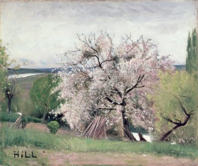 开花果树，Bois-le-Roi 作者 卡尔·弗雷德里克·希尔