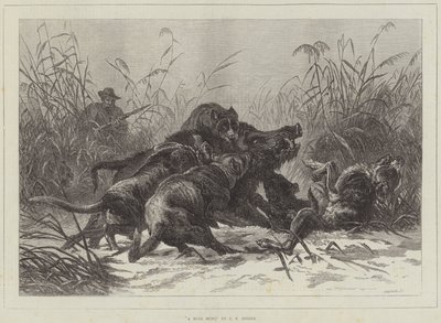 野猪狩猎 作者 卡尔·弗里德里希·迪克尔