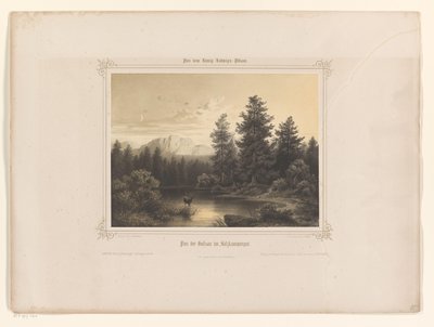 萨尔茨卡默古特的水景
Flus der Gossau im Salzkammergut（作品名称）
赠送给巴伐利亚路易一世的相册（系列名称）
路德维希国王的相册（系列名称） 作者 Piloty 和 Löhle