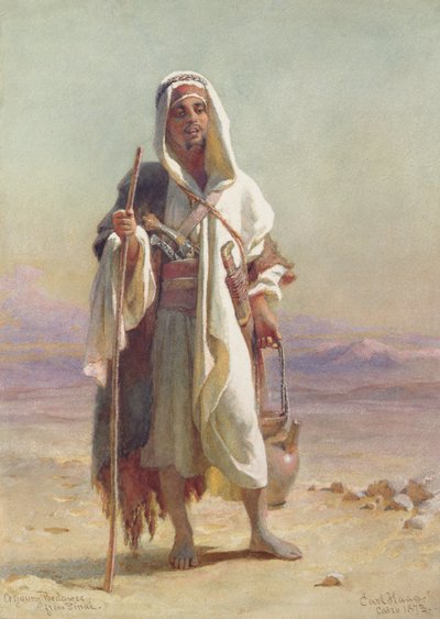 来自西奈半岛的一位年轻的Bedawee，1873年 作者 Carl Haag