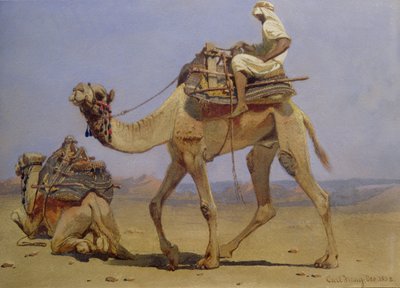 骆驼准备躺下，1858年 作者 Carl Haag