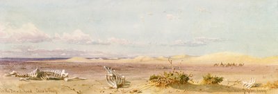 沙漠中的沙丘，开罗，苏伊士，1859年 作者 Carl Haag