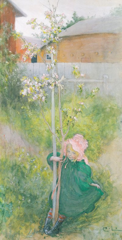 Appleblossom，1894年 作者 卡尔·拉森