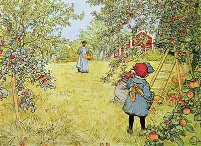 Apple Harvest 作者 卡尔·拉森