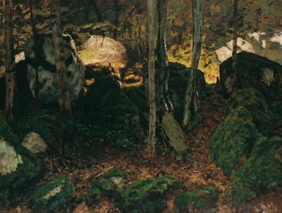 Saut du Doubs 附近的森林内景 作者 卡尔·舒赫