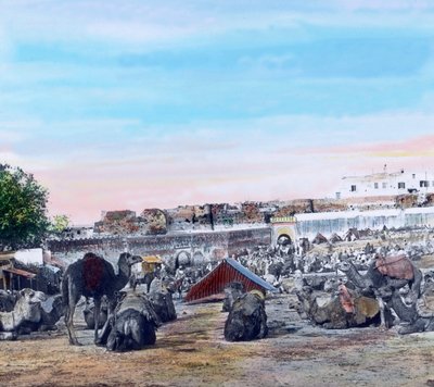 摩洛哥北部，丹吉尔的苏克，拍摄日期：约 1910 年。卡尔-西蒙档案 作者 卡尔·西蒙