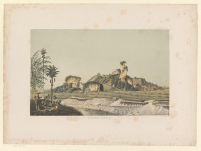 古农甘坪山景
古农甘坪（实物上的标题）
爪哇作品地图集（实物上的系列标题）
包含十一个风景如画的景点的图版地图册，属于爪哇作品，其形状、植物排列和内部构造（系列名称 作者 卡尔·威廉·米林（可能）
