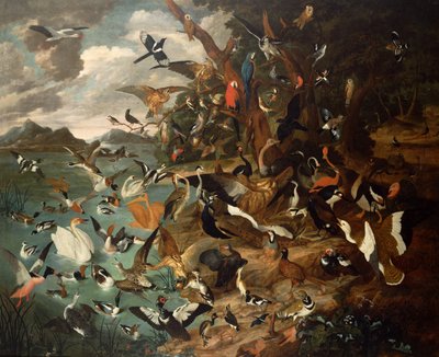 鸟类议会 作者 Carl Wilhelm de Hamilton