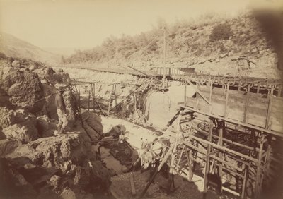 1891 年，奥罗维尔，金羽毛公司，放入电梯（照片） 作者 卡尔顿·埃蒙斯·沃特金斯