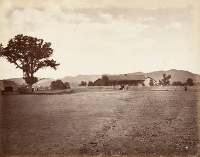 圣玛格丽塔牧场，1876年，约1876年印刷。 作者 卡尔顿·埃蒙斯·沃特金斯