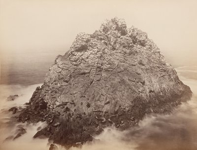 法拉隆群岛的糖块岛，1868-69年。 作者 卡尔顿·埃蒙斯·沃特金斯