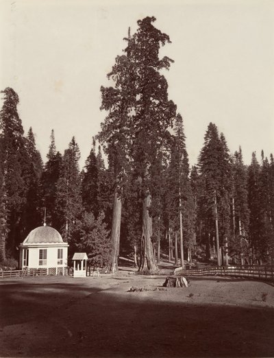 哨兵报》，315英尺，1865-66，约1876年印刷。 作者 卡尔顿·埃蒙斯·沃特金斯
