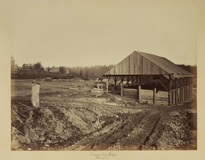 奥斯威戈钢铁厂，威拉米特河 作者 Carleton Watkins