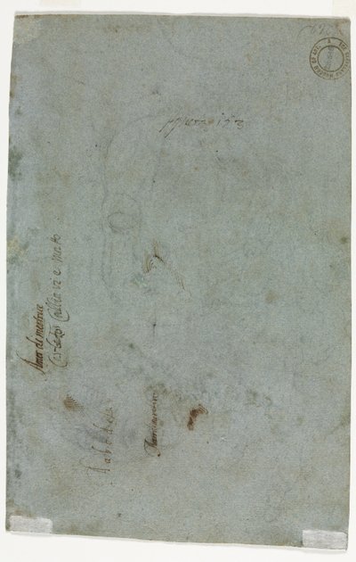 儿童头部素描，背面，约1586年。 作者 卡莱托·卡利亚里