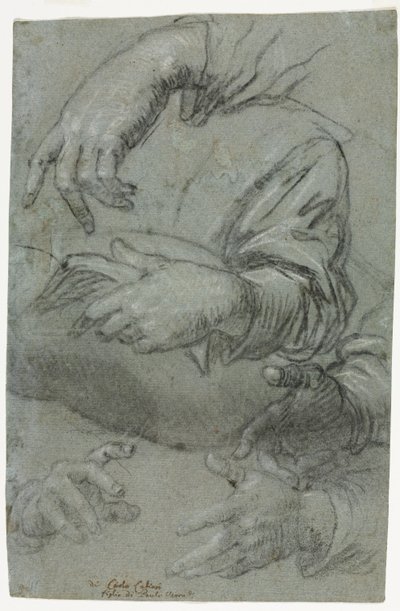 手部研究的直页，儿童头部素描的对页，约1586年。 作者 卡莱托·卡利亚里