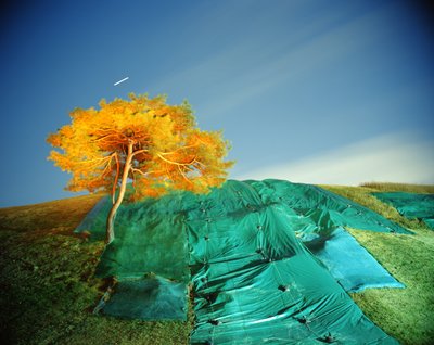 黑暗中的绘画，2011 年 作者 蔡嘉莉