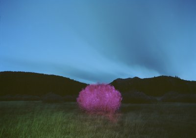 黑暗中的绘画，2015 作者 蔡嘉莉