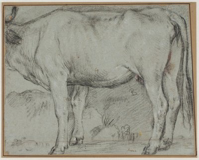 站立的牛（头不见了） 作者 哈科波·巴萨诺（Jacopo Bassano）