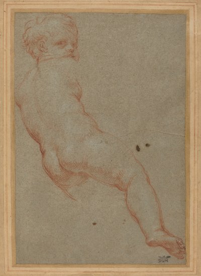 一个年轻男孩的研究 作者 卡洛·马拉塔（Carlo Maratta）
